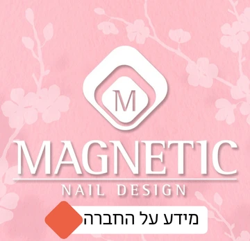 מידע על חברת מגנטיק